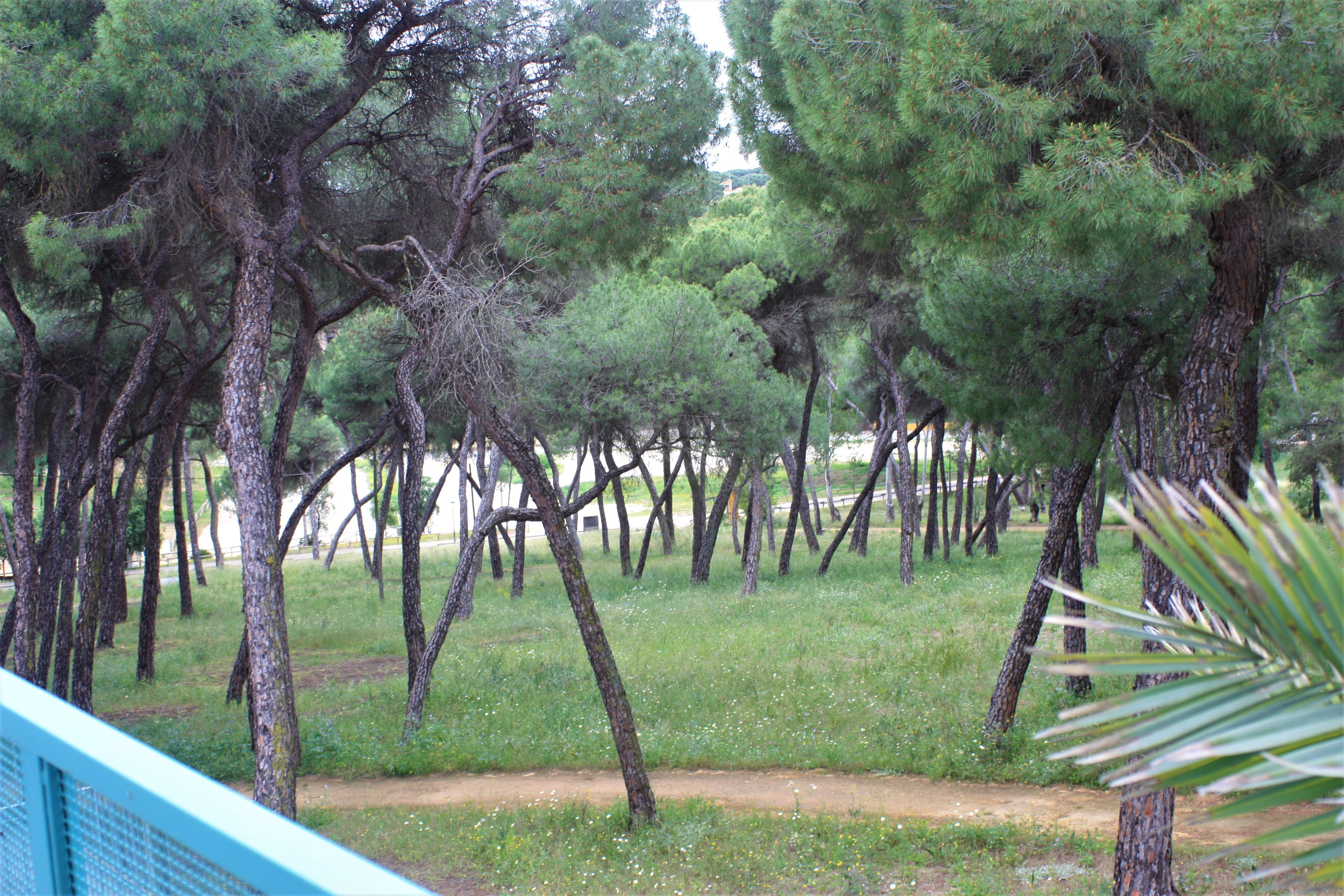 Hotel Oromana Alcala de Guadaira Exterior photo